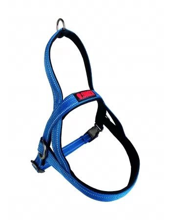 PAW NORWEGIAN HARNESS AZUL LG