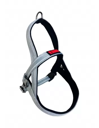 PAW NORWEGIAN HARNESS CINZA SM