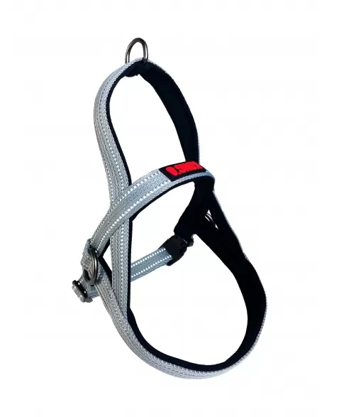 PAW NORWEGIAN HARNESS CINZA SM