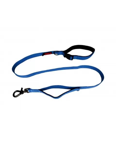 PAW TRAFFIC LEASH AZUL MD 1,5M