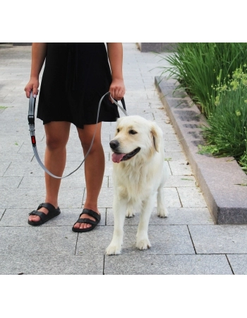 PAW TRAFFIC LEASH AZUL MD 1,5M