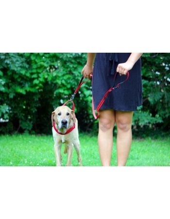 PAW TRAFFIC LEASH VERMELHA LG 1,5M