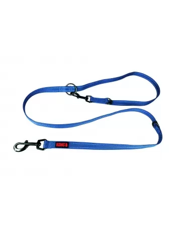 PAW ADJUSTABLE LEASH AZUL LG 2M