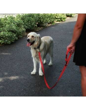 PAW ADJUSTABLE LEASH AZUL LG 2M