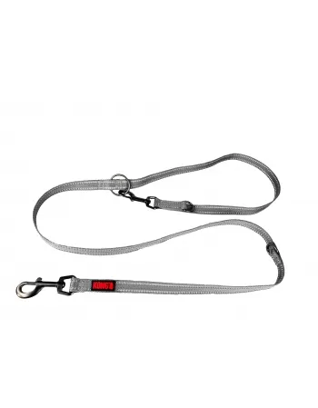 PAW ADJUSTABLE LEASH CINZA MD 2M