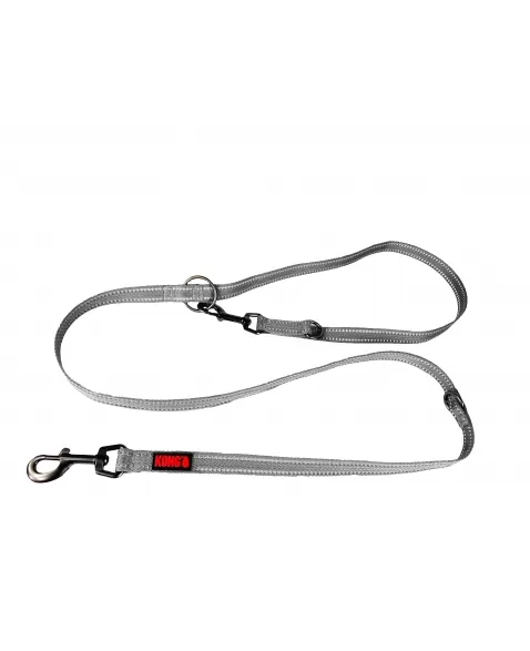 PAW ADJUSTABLE LEASH CINZA MD 2M