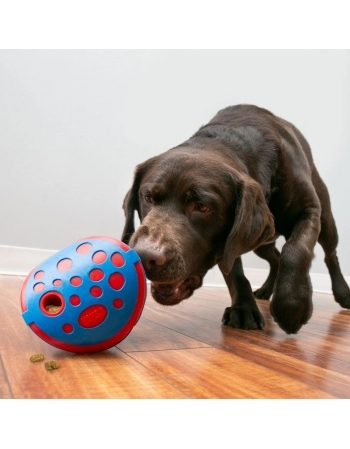 KONG REWARDS WALLY MD/LG (PEPW2)