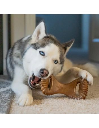 BENEBONE DENTAL CHEW AMENDOIM G (891300)