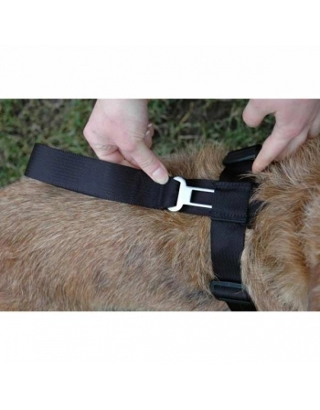 CA CLIX CARSAFE XP (DLC00)