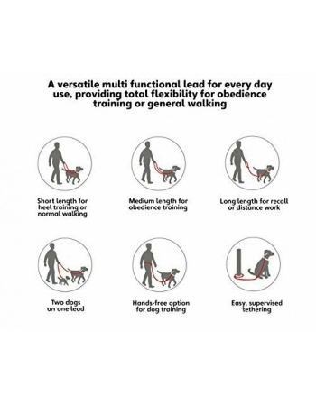 CA HALTI TRAINING LEAD VERM P (D14140A)