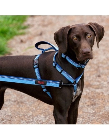 CA HALTI WALKING HARNESS VERMELHA G (D17341A)