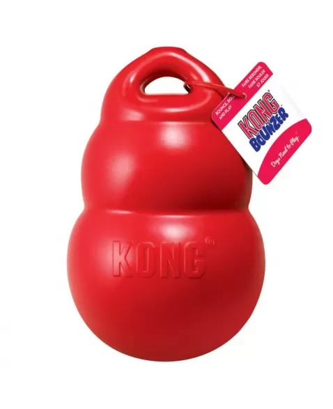 KONG BOUNZER LARGE (PB1)