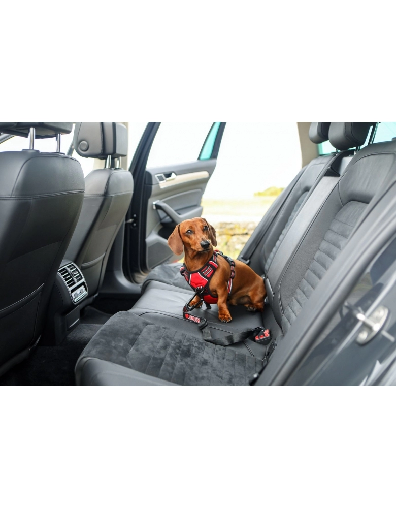 M&S KONG TRAVEL SEAT BELT TETHER (9465)