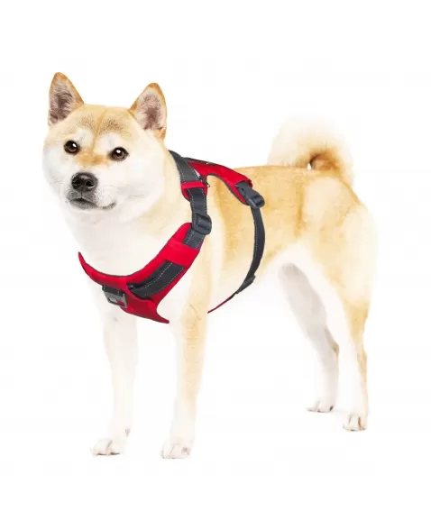 OH BOULDER ADVENTURE HARNESS M (70630)