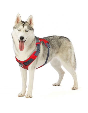 OH BOULDER ADVENTURE HARNESS RED L (70631)