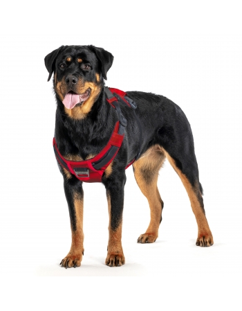 OH BOULDER ADVENT HARNESS RED XL (70632)
