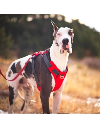 OH BOULDER ADVENT HARNESS RED XXL(70633)