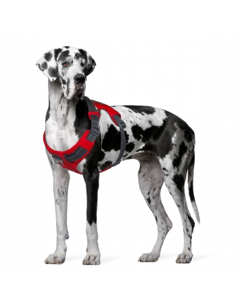 OH BOULDER ADVENT HARNESS RED XXL(70633)