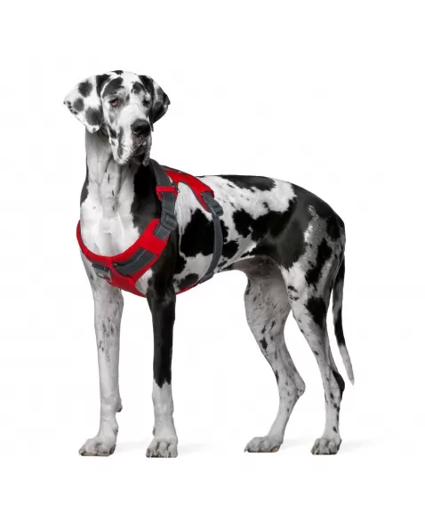 OH BOULDER ADVENT HARNESS RED XXL(70633)