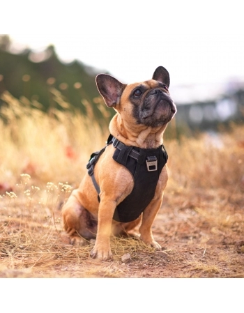 OH BOULDER ADVENT HARNESS BLK S (70619)