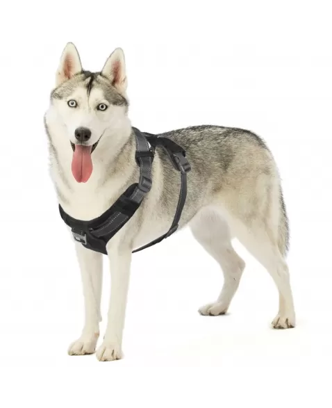 OH BOULDER ADVENT HARNESS BLK L (70621)