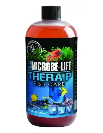 ML THERA P 473ML (THERAPH16)