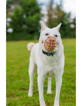 CA BASKERVILLE BASKET 4 (D64420A)