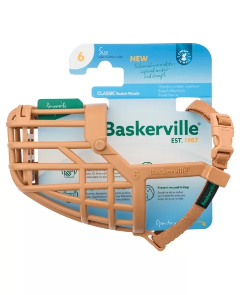 CA BASKERVILLE BASKET 6 (D64620A)