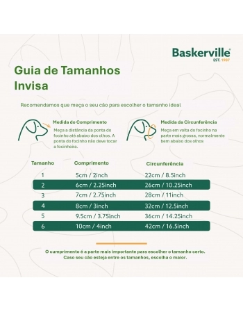 CA BASKERVILLE INVISA 4-G (D66140ZG1)