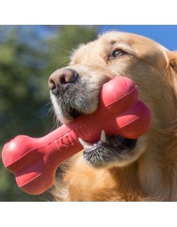 KONG GOODIE BONE M (10011HH)